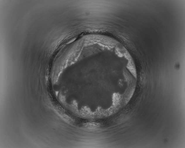 X0000116780691201001071237