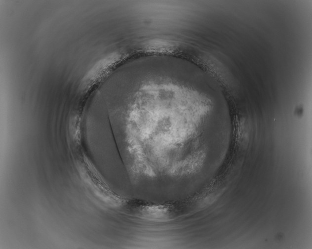 X0000116780692201001071237