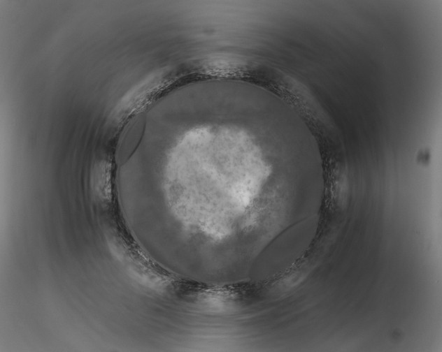 X0000116780696201001071237