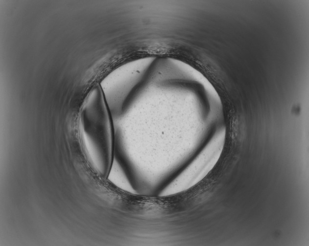 X0000116780697201001071237