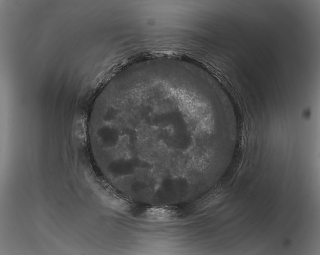 X0000116780699201001071237