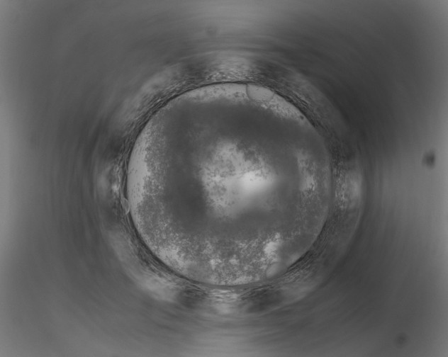 X0000116780701201001071237