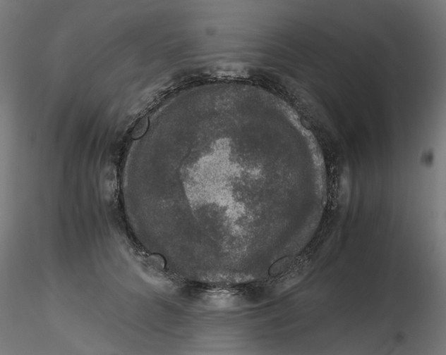 X0000116780704201001071237