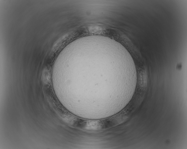 X0000116780705201001071237