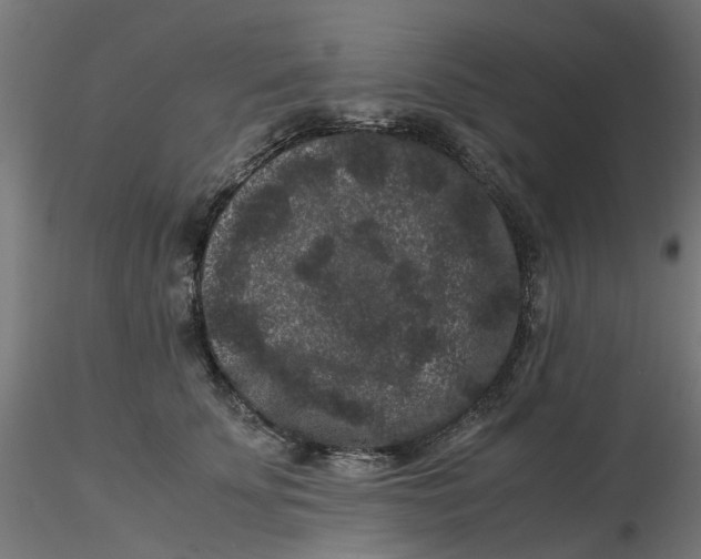 X0000116780707201001071237