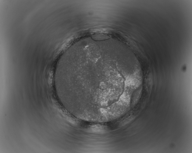 X0000116780708201001071237