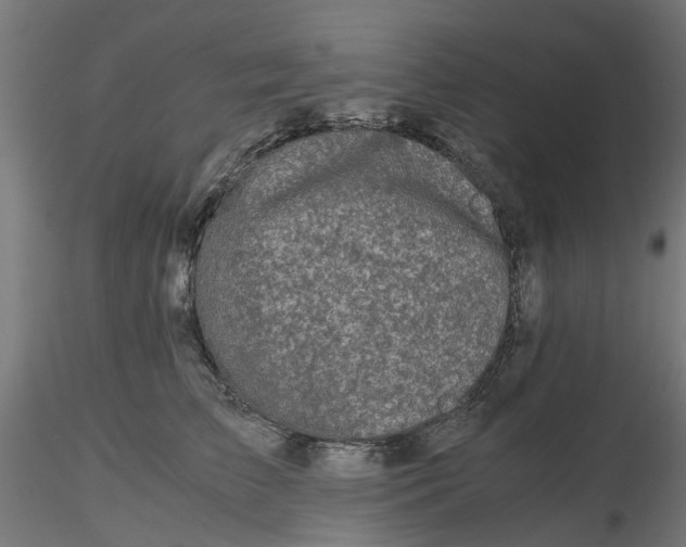 X0000116780709201001071237