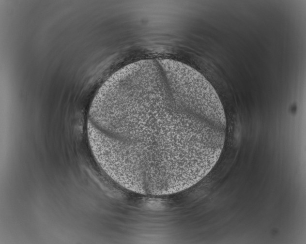 X0000116780710201001071237