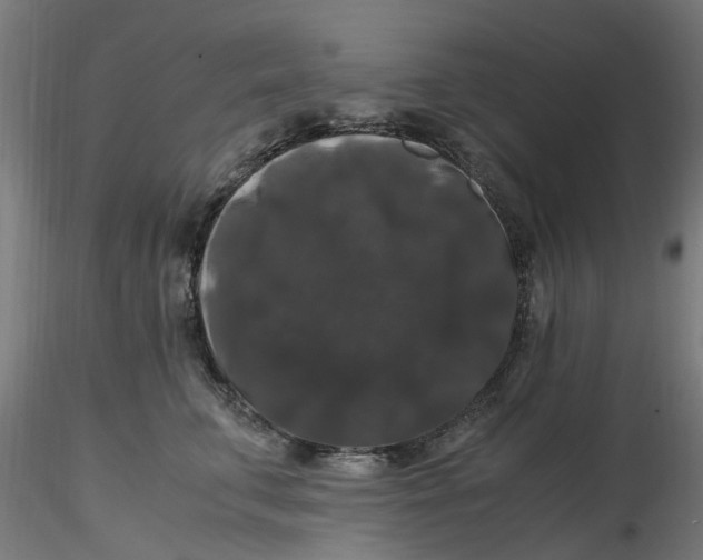 X0000116780711201001071237