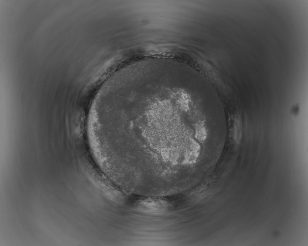 X0000116780712201001071237