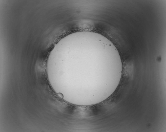 X0000116780713201001071237