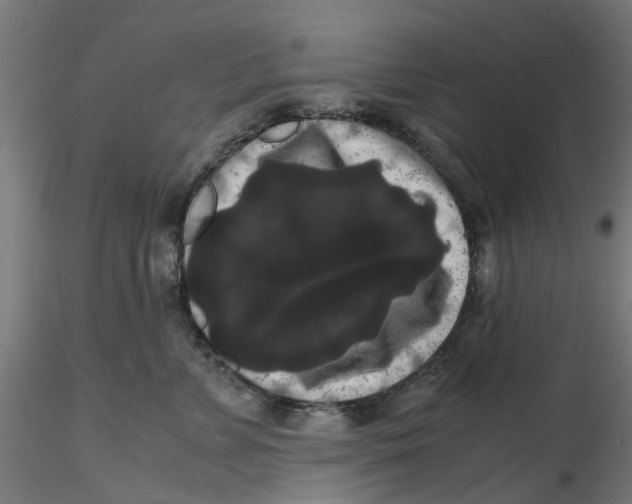 X0000116780715201001071237