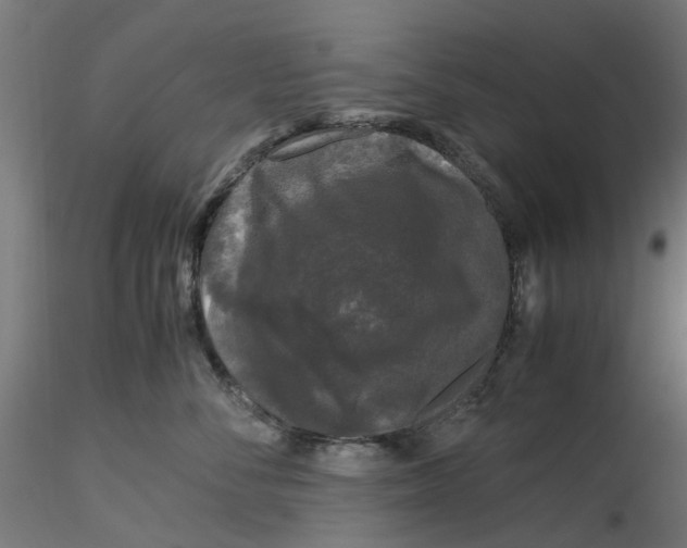 X0000116780716201001071237