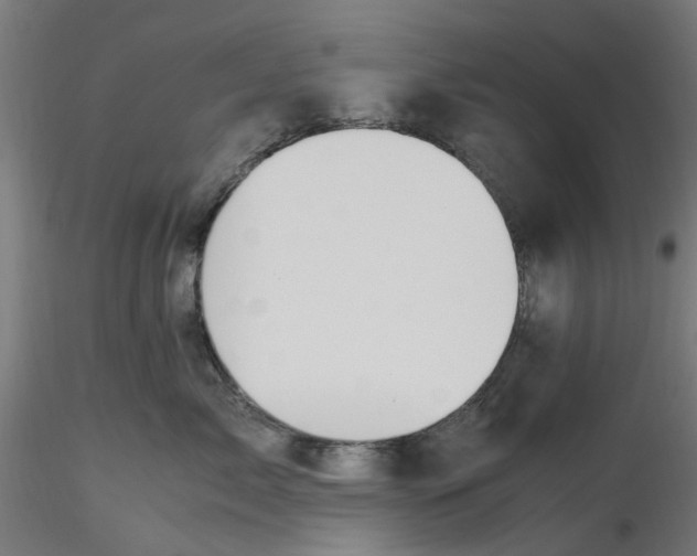 X0000116780717201001071237