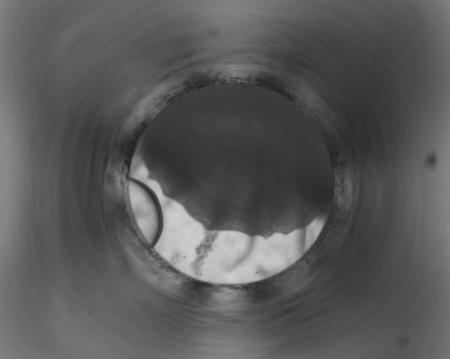 X0000116780718201001071237