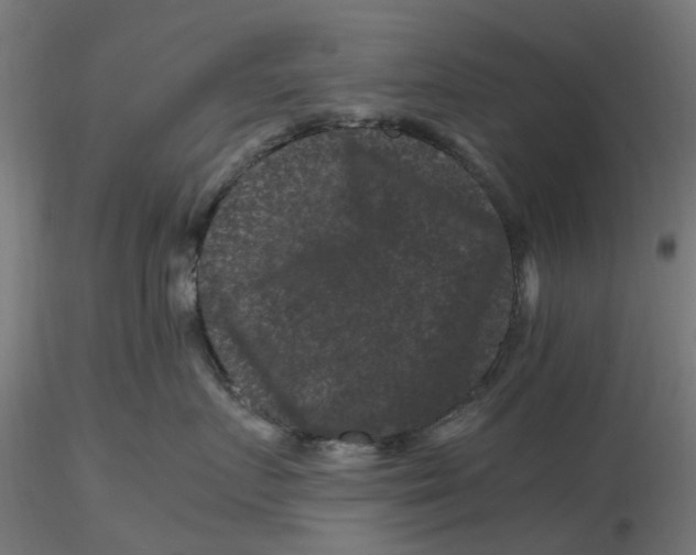 X0000116780719201001071237