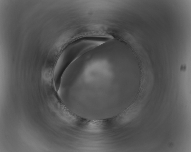 X0000116780720201001071237