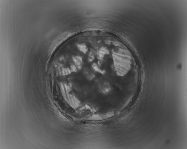 X0000116780721201001071236