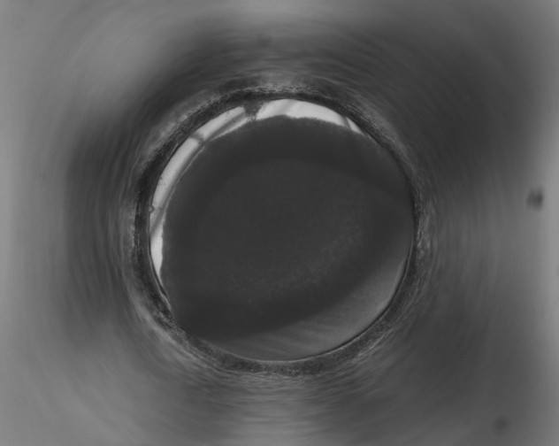 X0000116780722201001071236