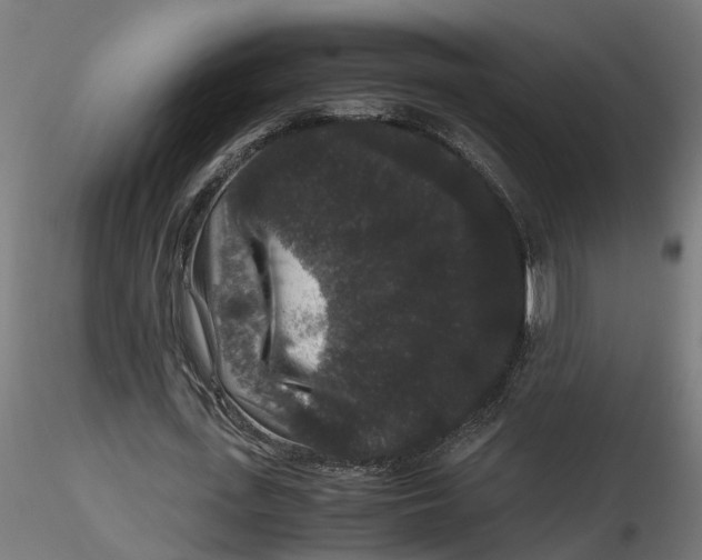 X0000116780723201001071236