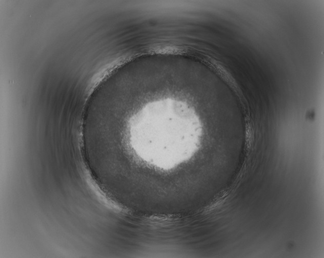 X0000116780725201001071236