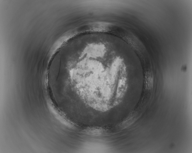 X0000116780726201001071236