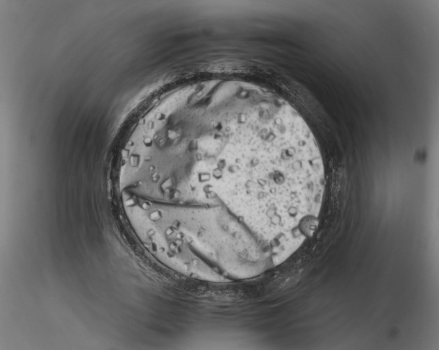 X0000116780727201001071236