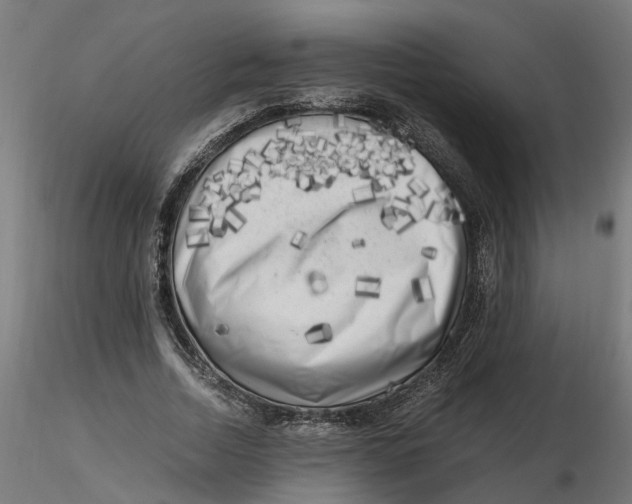 X0000116780730201001071236