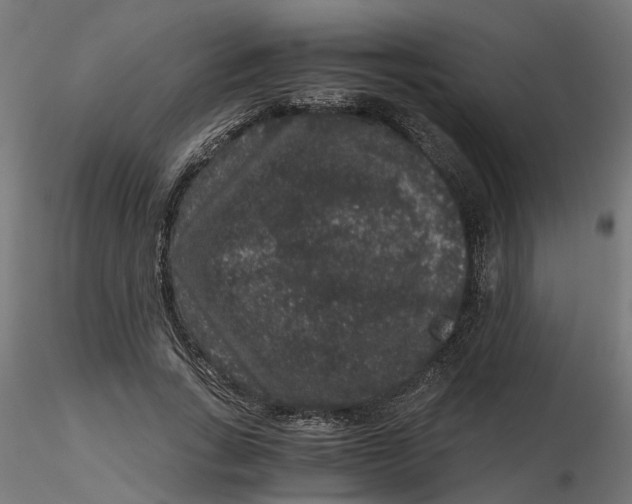 X0000116780735201001071236