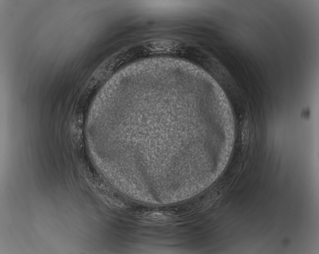 X0000116780737201001071236