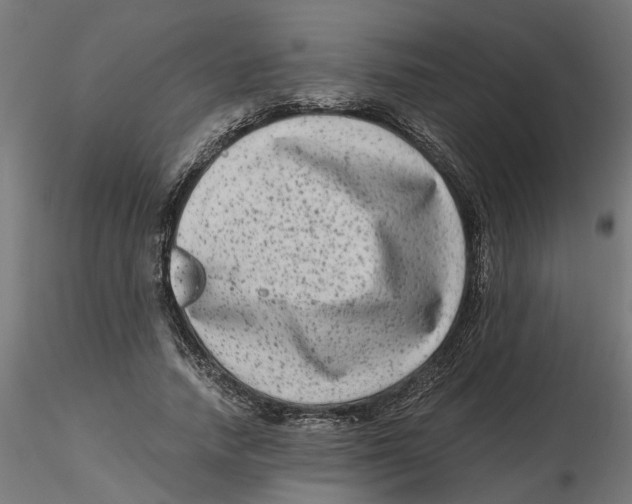 X0000116780738201001071236