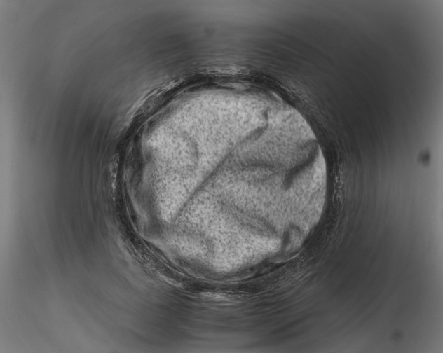 X0000116780739201001071236