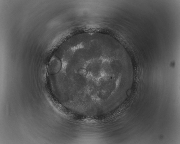 X0000116780742201001071237