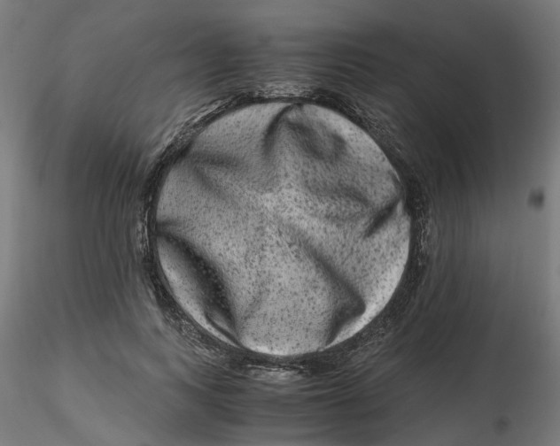 X0000116780743201001071237