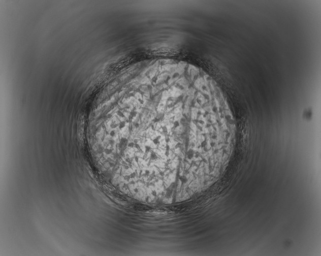 X0000116780745201001071237