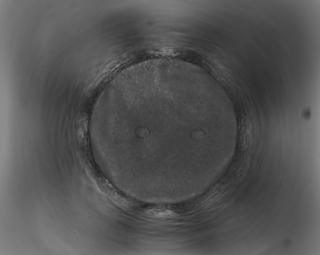 X0000116780747201001071237