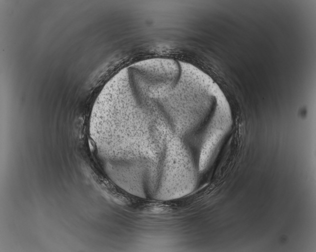 X0000116780750201001071237