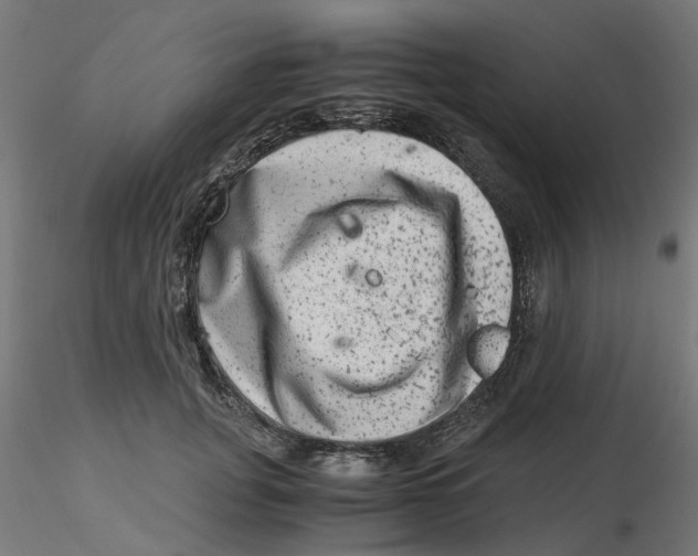 X0000116780751201001071237