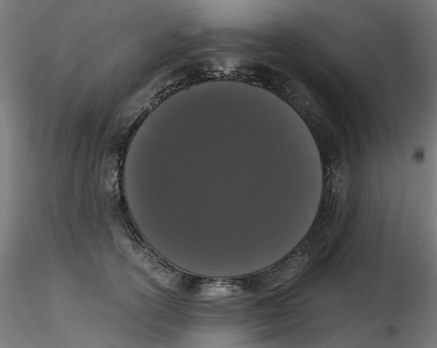 X0000116780754201001071237