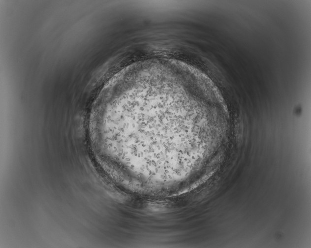 X0000116780757201001071237