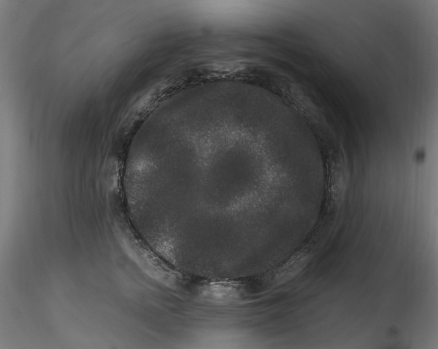 X0000116780758201001071237