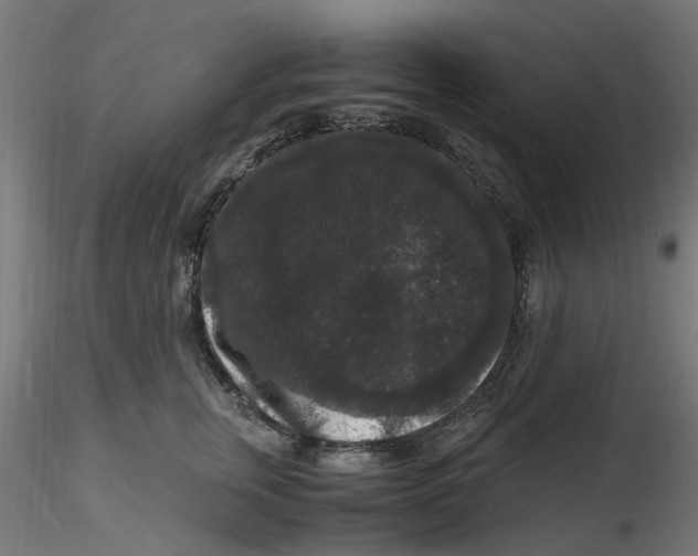 X0000116780759201001071237