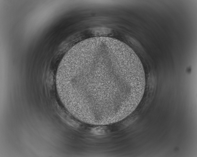 X0000116780761201001071237