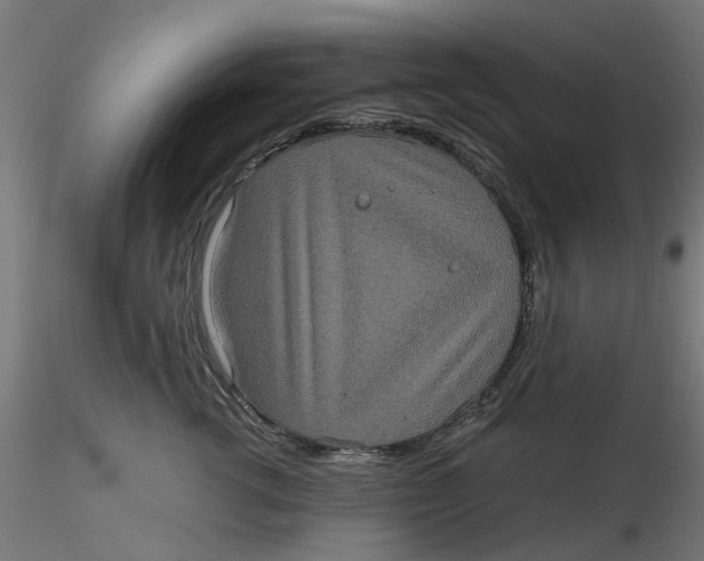 X0000116780762201001071237