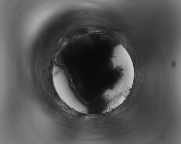 X0000116780763201001071237