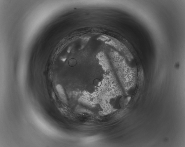 X0000116780765201001071237