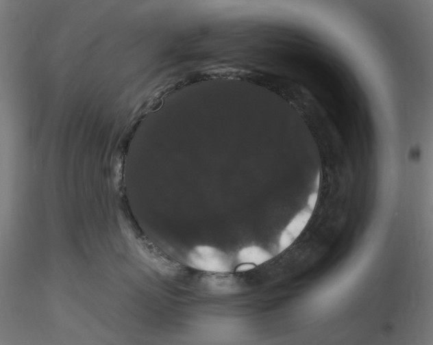 X0000116780767201001071237