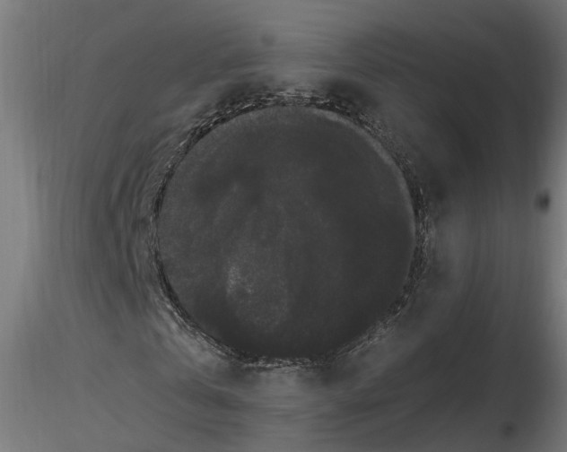 X0000116780769201001071236