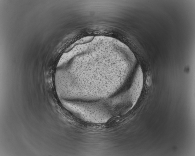 X0000116780771201001071236