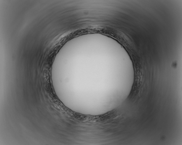 X0000116780773201001071236